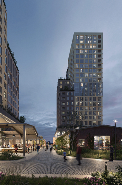 top 50 ontwikkelaars